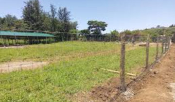 WAKULIMA KUFAIDIKA KUPITIA MKAKATI MPYA WA UPATIKANAJI MIZIGO
